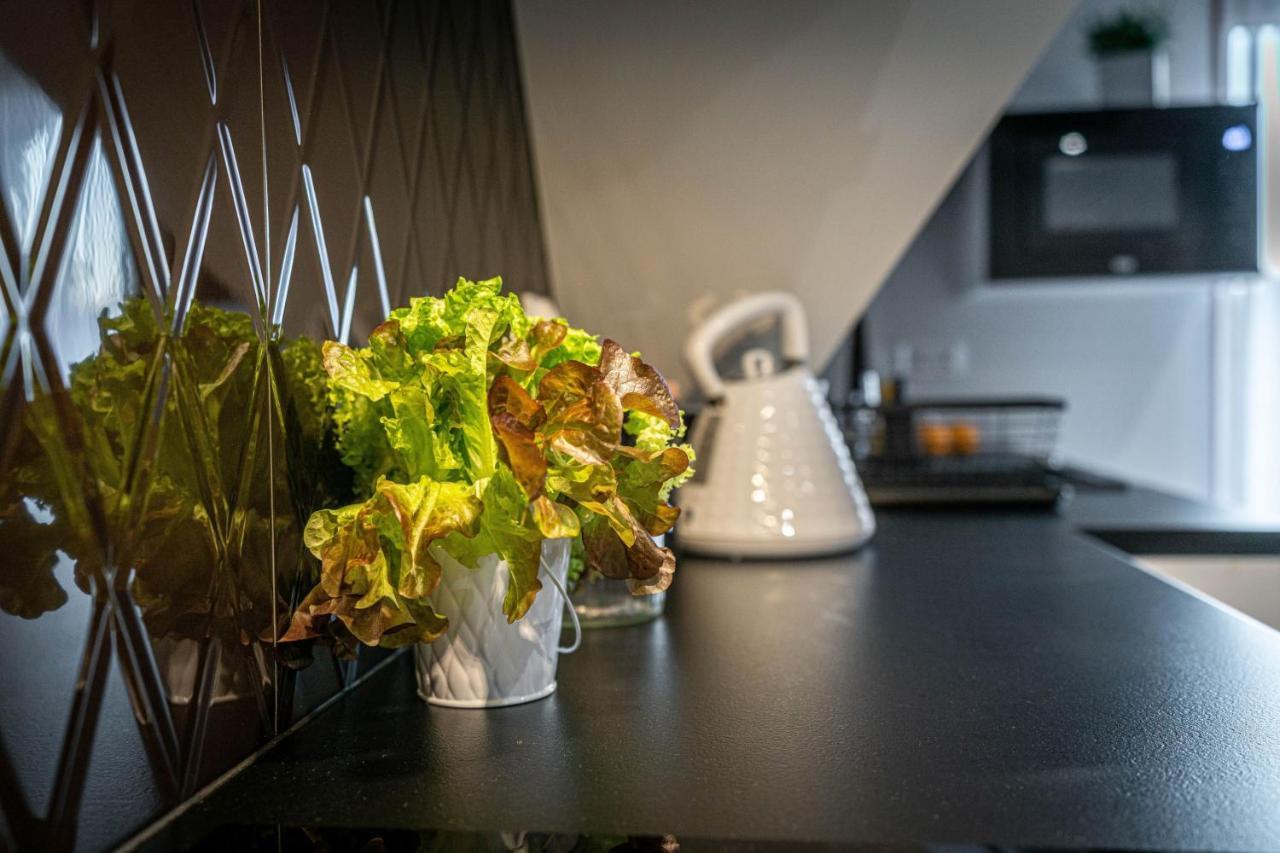 Stylovy Apartment Bialka Tatrzanska Luaran gambar